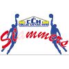 South West Slammers (W)