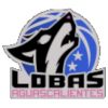 Lobas Aguascalientes Wanita