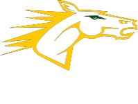 universitas negara bagian new york di delhi