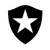 Botafogo FR U19