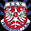 FSVFrankfurtU19