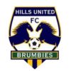 Hills Brumbies