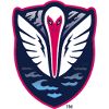 TormentaFC