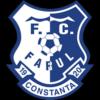 FarulConstanta