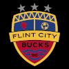 FlintCityBucks