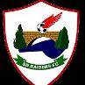 SD Raiders FC
