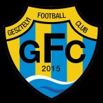 GesztelyiFCE