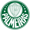 PalmeirasSPw