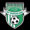 KFDukagjini