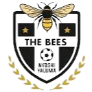 TheBeesFC
