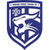 WuhanThreeTownsU15