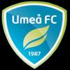Akademi Umea FC
