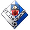 Slavicin
