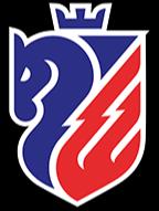 FCBotosani