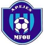 APEJESAcademy