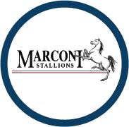 Kuda Marconi